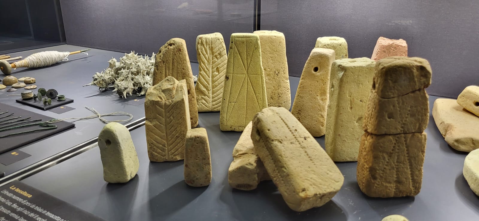 Per una libbra di lana